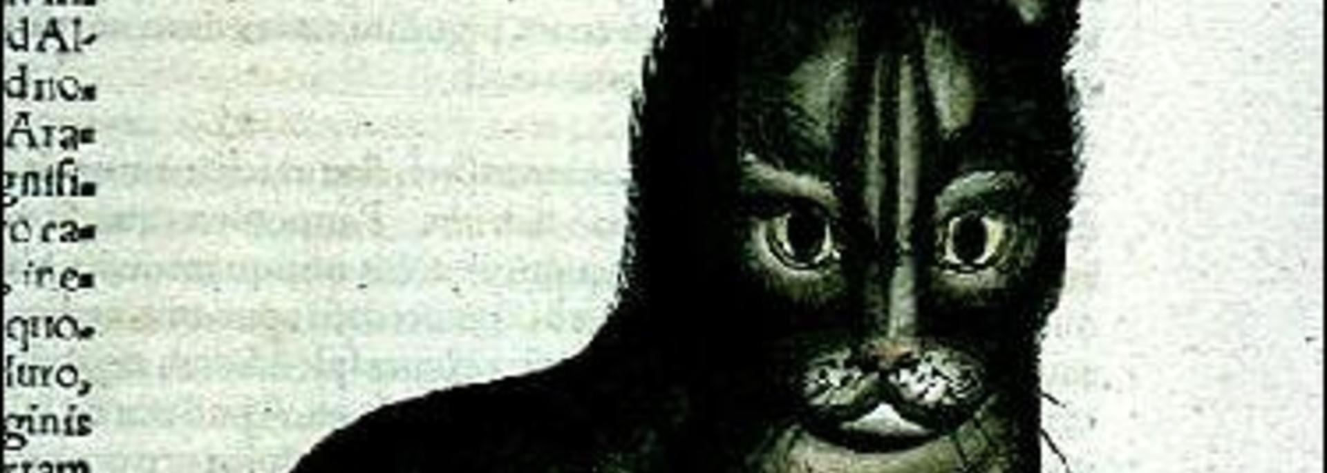 Conrad Gessner (1515-1565): Cat, from Historia Animalium